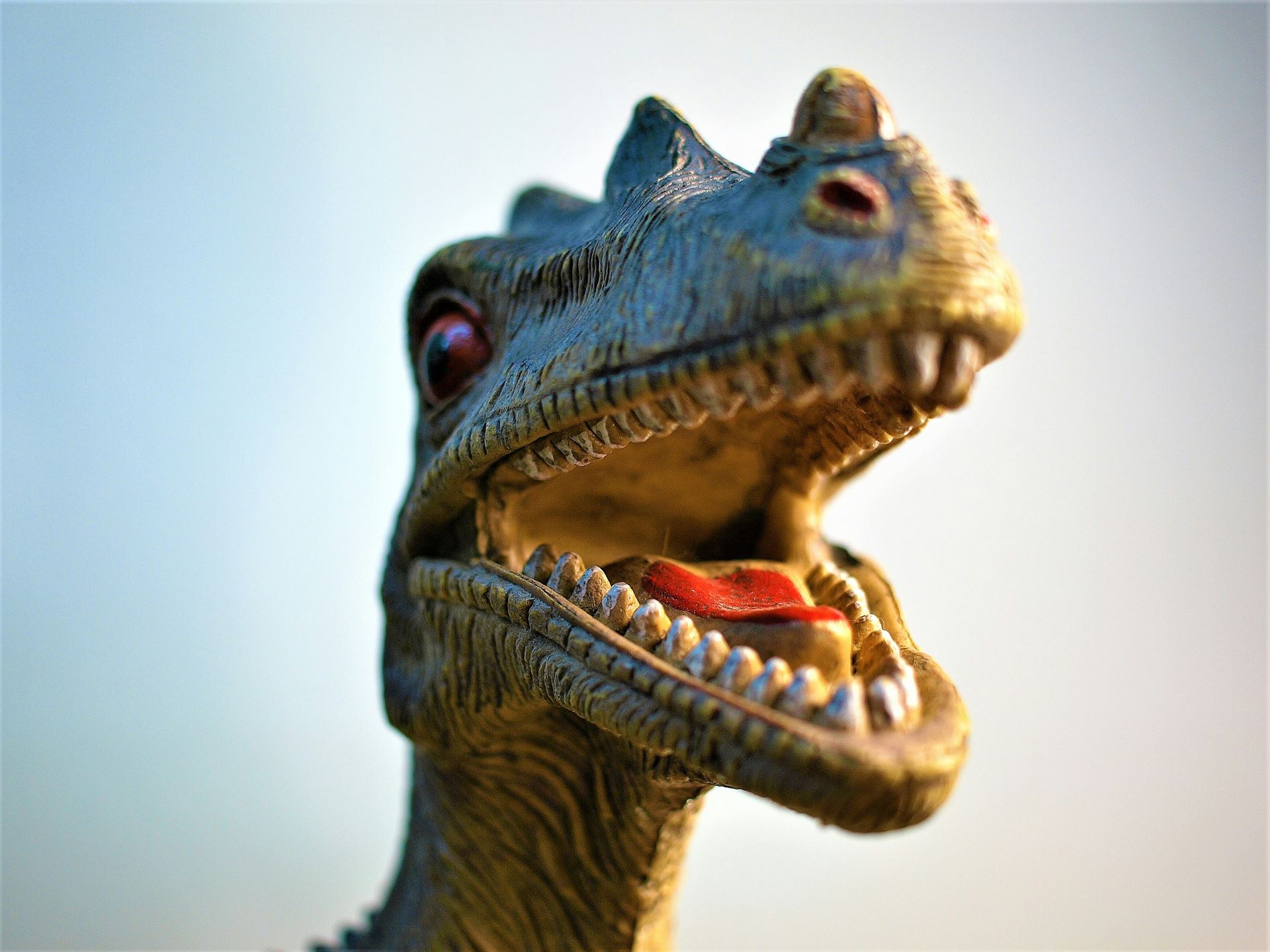 dinosaur